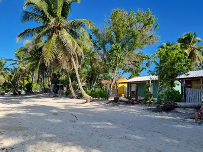 a house on the beach with palm trees at Esmeralda67 Tamarindo in Bayahibe