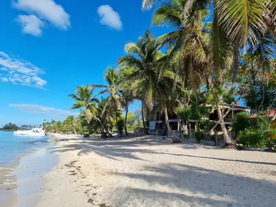 a beach with palm trees and a house at Esmeralda67 Tamarindo in Bayahibe
