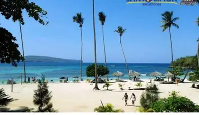 a view of a beach with palm trees and the ocean at Oasis en la naturaleza Rancho alto bonito in Las Galeras