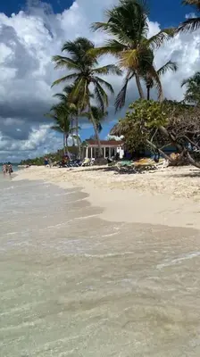 a beach with palm trees and a house and the water at Xarraca, excepcional apartamento in Bayahibe
