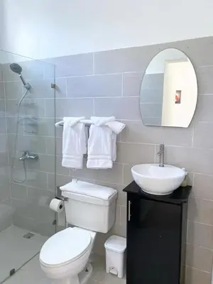 a bathroom with a toilet and a sink and a mirror at The White Rock Hotel B&B in Los Conucos