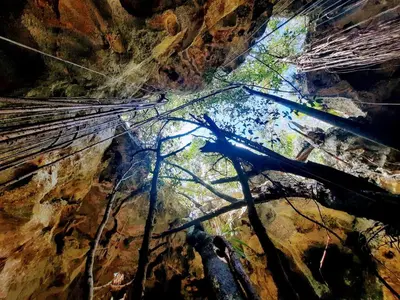 a view from the bottom of a cave with trees in the background at Caribbean Star - Estrella Dominicus Bayahibe in Bayahibe