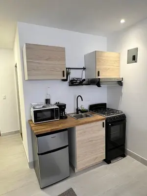 a small kitchen with a stove and a microwave at Suites By SalcedO in Santo Domingo